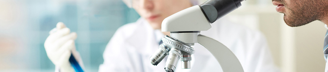 Social Responsibility